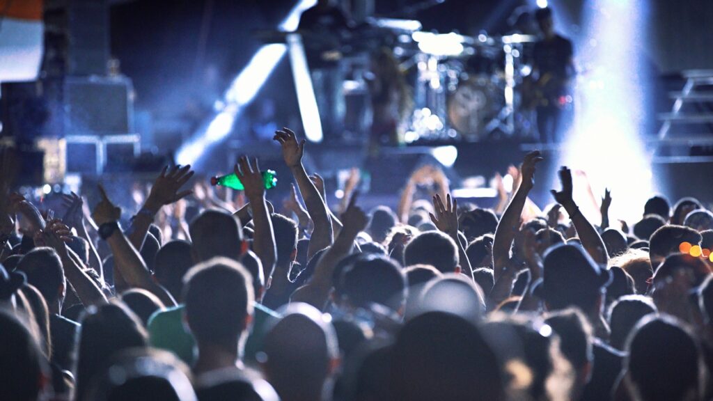 Crowd at a concert